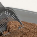 Natural Walnut Shell Cat Litter: An Eco-Friendly Choice