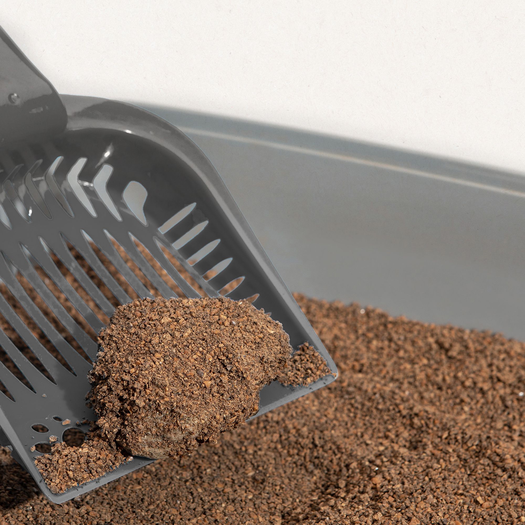 Natural Walnut Shell Cat Litter: An Eco-Friendly Choice