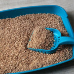 Can you flush Naturally Fresh walnut litter?